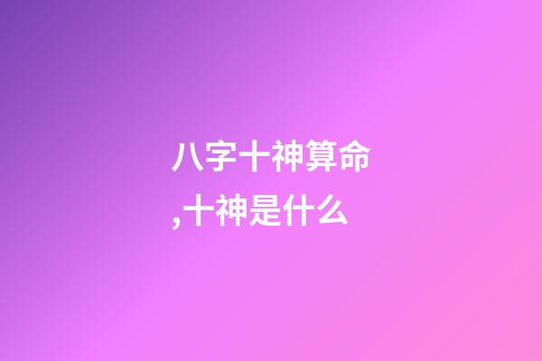 八字十神算命,十神是什么