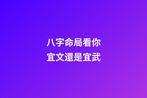 八字命局看你宜文還是宜武