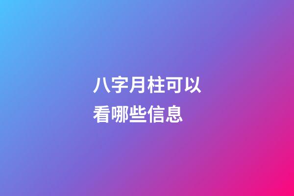 八字月柱可以看哪些信息