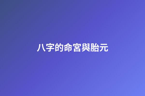 八字的命宮與胎元