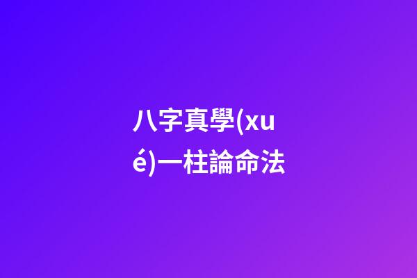 八字真學(xué)一柱論命法