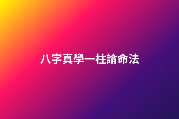八字真學一柱論命法