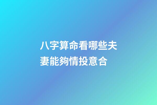 八字算命看哪些夫妻能夠情投意合