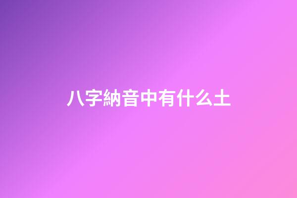 八字納音中有什么土