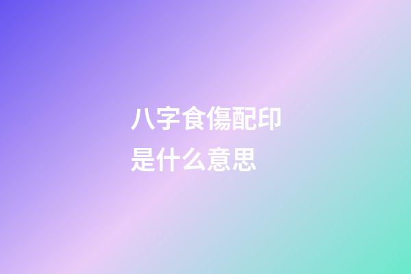 八字食傷配印是什么意思