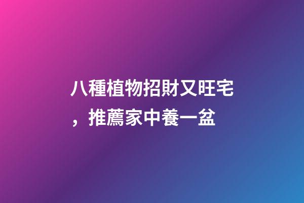 八種植物招財又旺宅，推薦家中養一盆