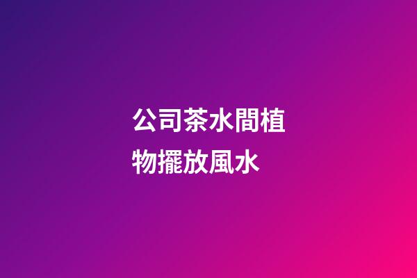 公司茶水間植物擺放風水