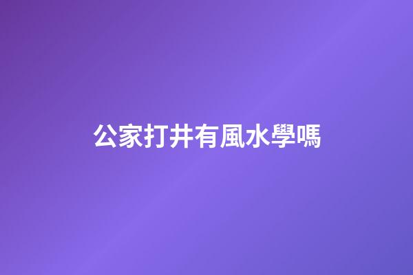 公家打井有風水學嗎