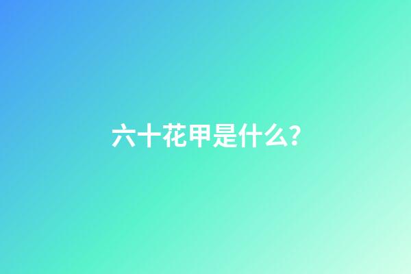六十花甲是什么？