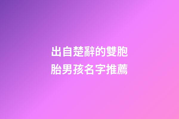 出自楚辭的雙胞胎男孩名字推薦(楚辭男寶寶)-第1張-男孩起名-玄機派