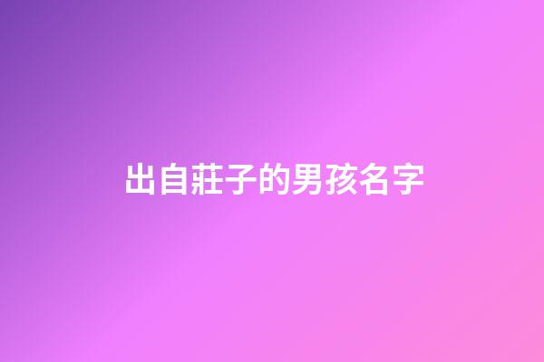出自莊子的男孩名字(莊子里好聽的男孩名字)
