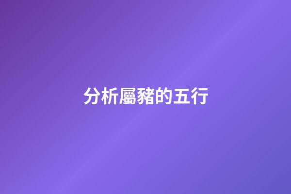 分析屬豬的五行