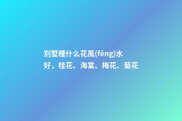 別墅種什么花風(fēng)水好，桂花、海棠、梅花、菊花