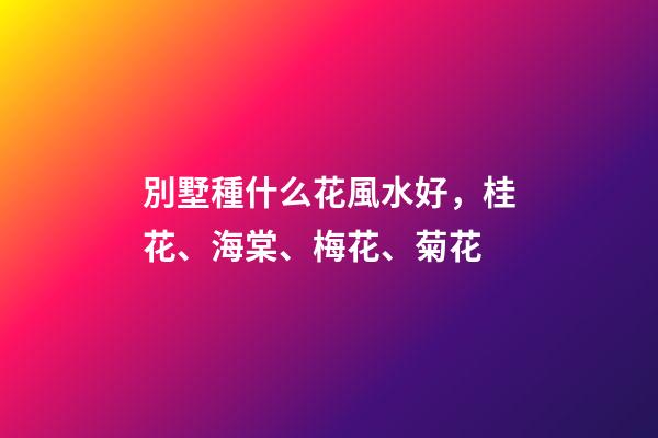 別墅種什么花風水好，桂花、海棠、梅花、菊花