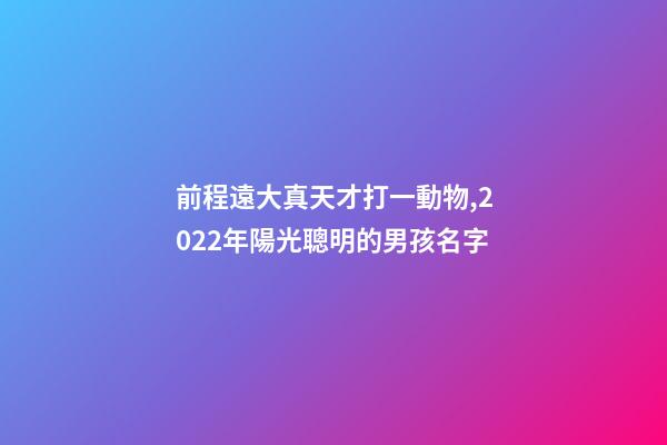 前程遠大真天才打一動物,2022年陽光聰明的男孩名字-第1張-觀點-玄機派
