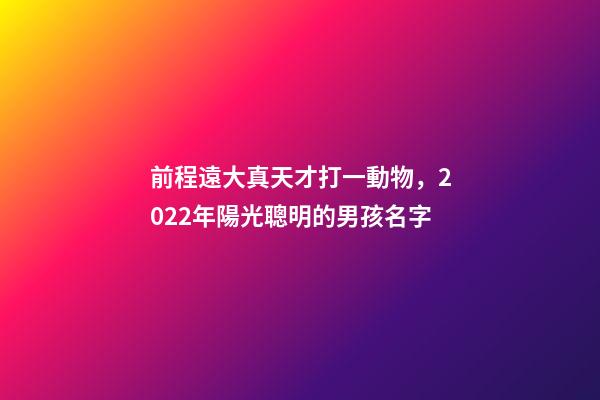前程遠大真天才打一動物，2022年陽光聰明的男孩名字-第1張-觀點-玄機派