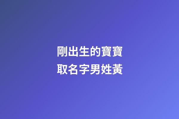 剛出生的寶寶取名字男姓黃(剛出生的寶寶取名字男姓黃怎么取)-第1張-男孩起名-玄機(jī)派