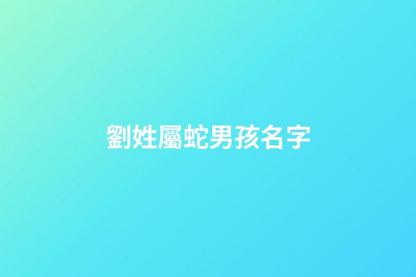 劉姓屬蛇男孩名字(劉姓男孩名字大全2023屬鼠免費(fèi))-第1張-男孩起名-玄機(jī)派