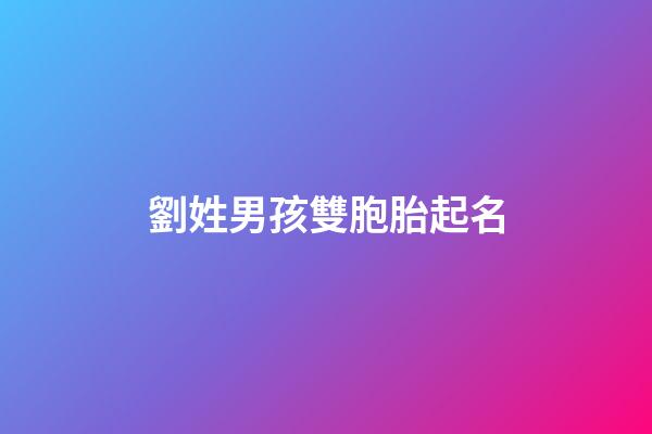 劉姓男孩雙胞胎起名(劉姓男孩雙胞胎起名字大全)-第1張-男孩起名-玄機派