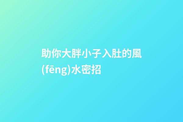 助你大胖小子入肚的風(fēng)水密招