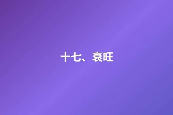 十七、衰旺