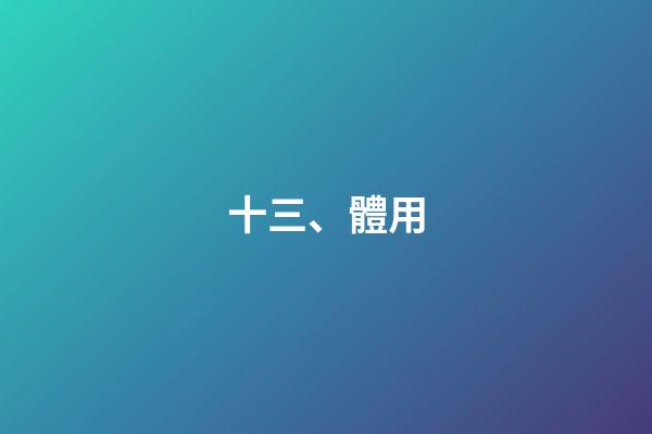 十三、體用
