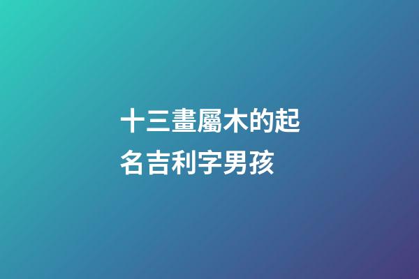 十三畫屬木的起名吉利字男孩(13畫屬木的字有哪些取名男)-第1張-男孩起名-玄機(jī)派