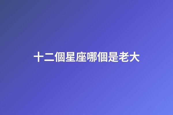 十二個星座哪個是老大-第1張-星座運勢-玄機派