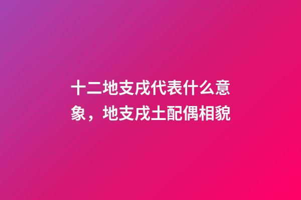 十二地支戌代表什么意象，地支戌土配偶相貌