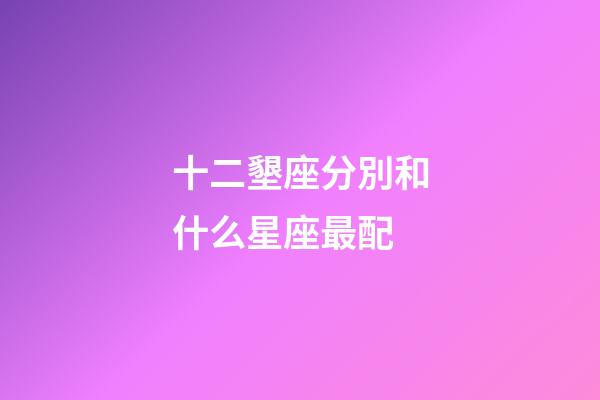 十二墾座分別和什么星座最配-第1張-星座運(yùn)勢(shì)-玄機(jī)派