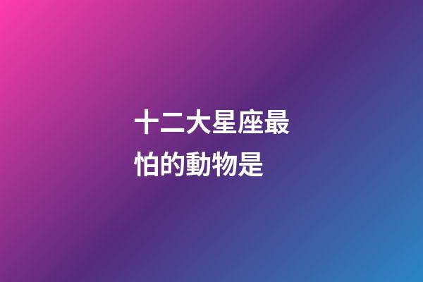 十二大星座最怕的動物是-第1張-星座運勢-玄機派