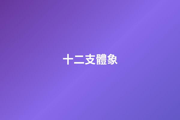 十二支體象
