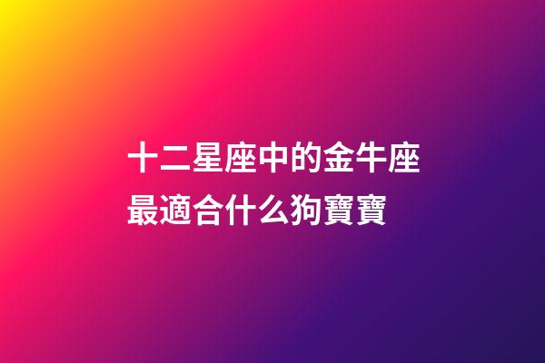 十二星座中的金牛座最適合什么狗寶寶