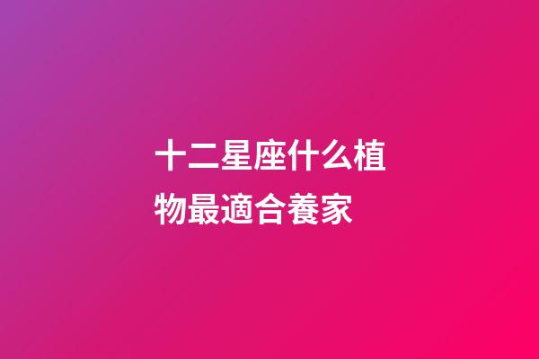 十二星座什么植物最適合養家-第1張-星座運勢-玄機派