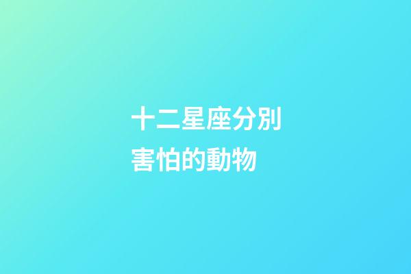 十二星座分別害怕的動物-第1張-星座運勢-玄機派