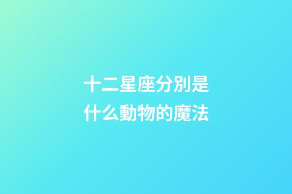 十二星座分別是什么動物的魔法-第1張-星座運勢-玄機派