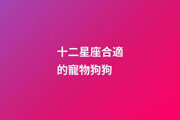 十二星座合適的寵物狗狗-第1張-星座運勢-玄機派