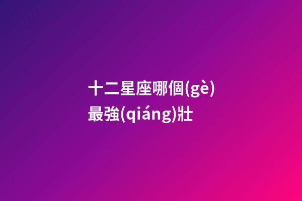 十二星座哪個(gè)最強(qiáng)壯-第1張-星座運(yùn)勢(shì)-玄機(jī)派
