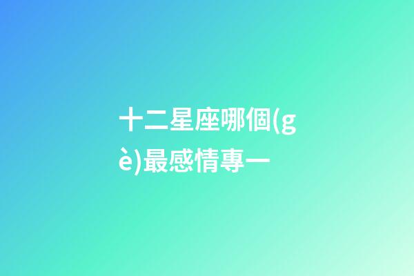 十二星座哪個(gè)最感情專一-第1張-星座運(yùn)勢-玄機(jī)派