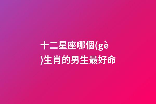 十二星座哪個(gè)生肖的男生最好命-第1張-星座運(yùn)勢(shì)-玄機(jī)派