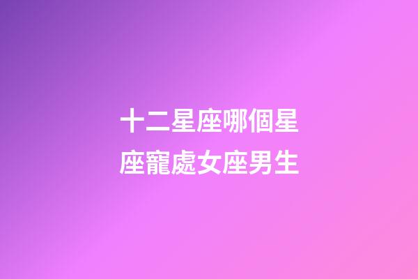十二星座哪個星座寵處女座男生-第1張-星座運勢-玄機派