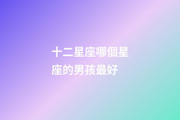 十二星座哪個星座的男孩最好-第1張-星座運勢-玄機派