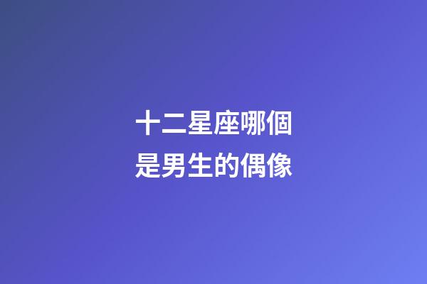 十二星座哪個是男生的偶像-第1張-星座運勢-玄機派