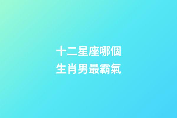 十二星座哪個生肖男最霸氣-第1張-星座運勢-玄機派