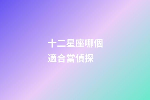 十二星座哪個適合當偵探-第1張-星座運勢-玄機派