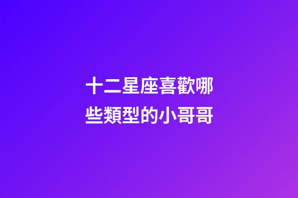 十二星座喜歡哪些類型的小哥哥-第1張-星座運勢-玄機派