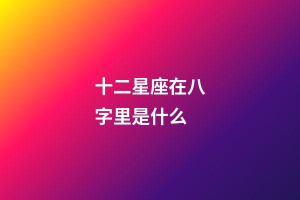 十二星座在八字里是什么