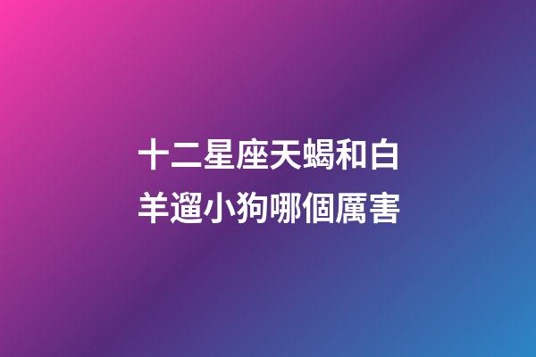 十二星座天蝎和白羊遛小狗哪個厲害-第1張-星座運勢-玄機派