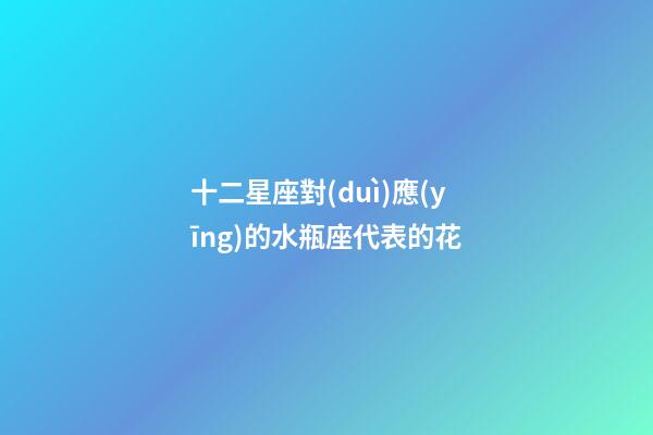 十二星座對(duì)應(yīng)的水瓶座代表的花-第1張-星座運(yùn)勢(shì)-玄機(jī)派