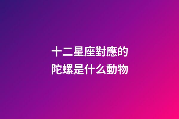 十二星座對應的陀螺是什么動物-第1張-星座運勢-玄機派